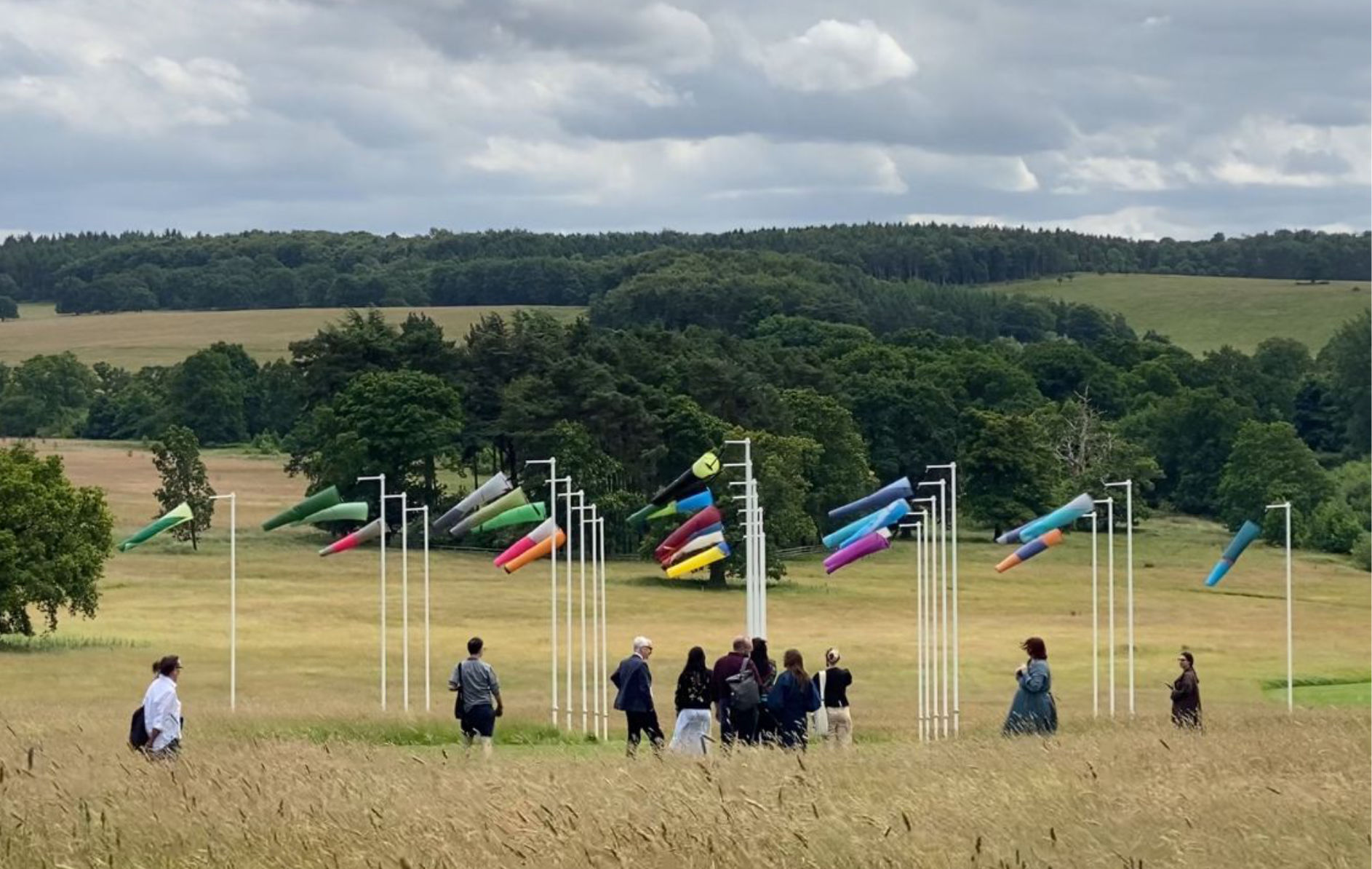 Chesney Harewood biennial 03