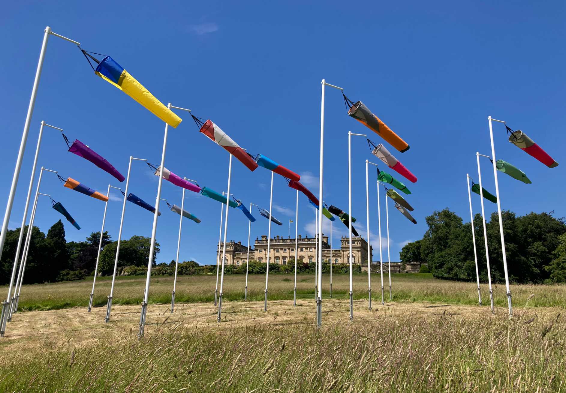 Rebecca Chesey Harewood Biennial 01