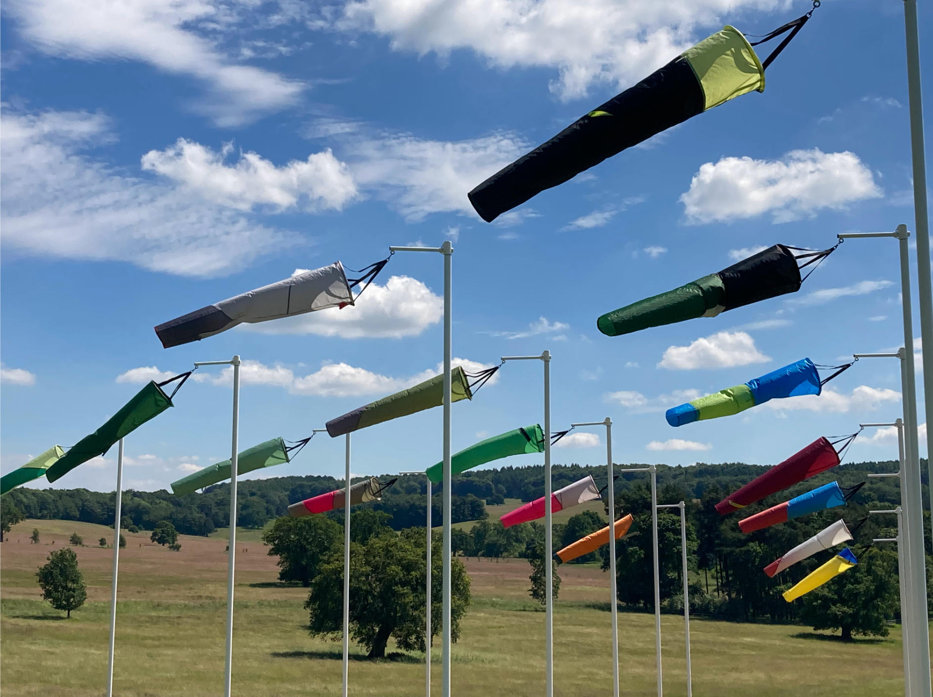 Rebecca Chesney Harewood Biennial 02