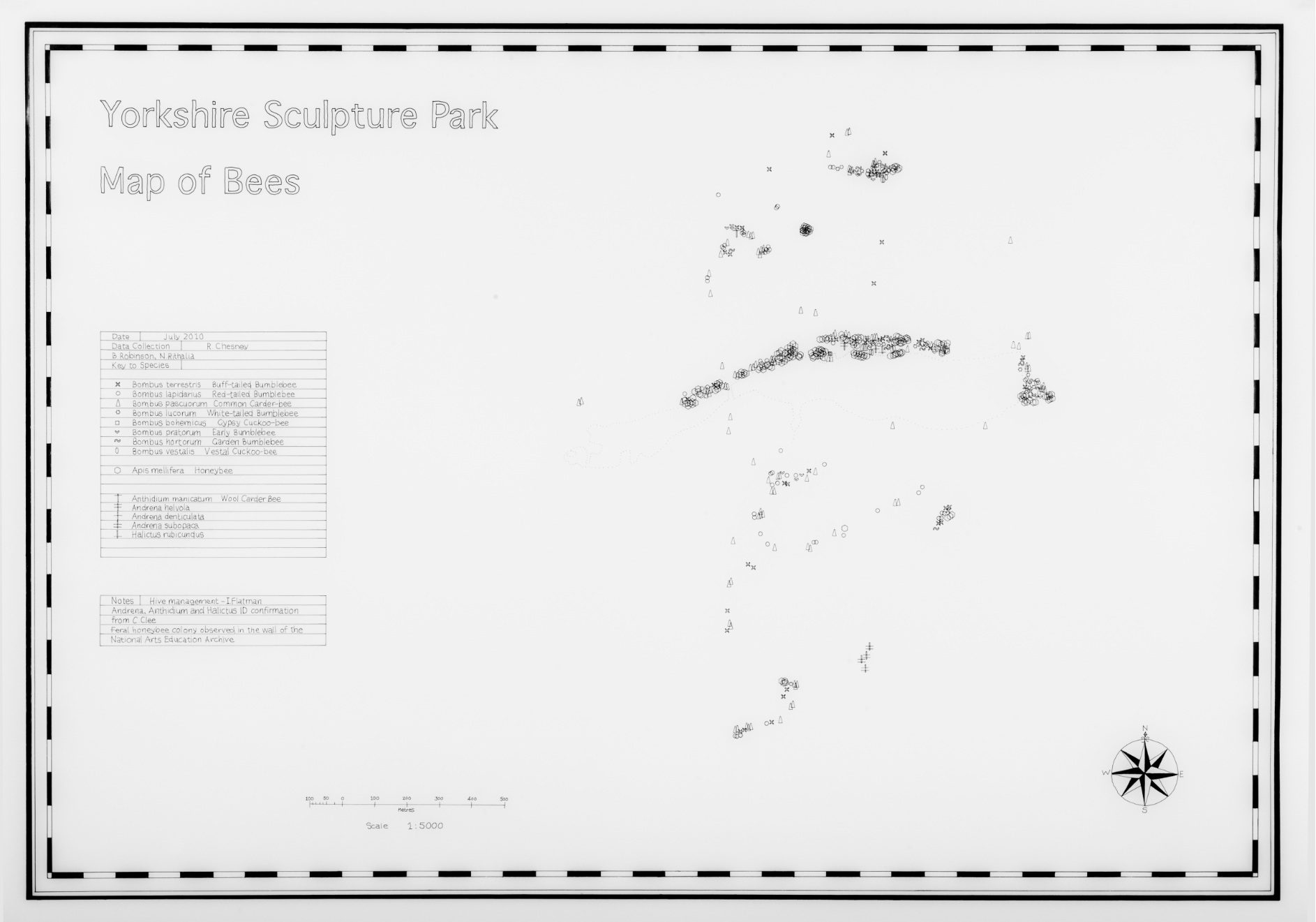 Rebecca Chesney Bee Map 02