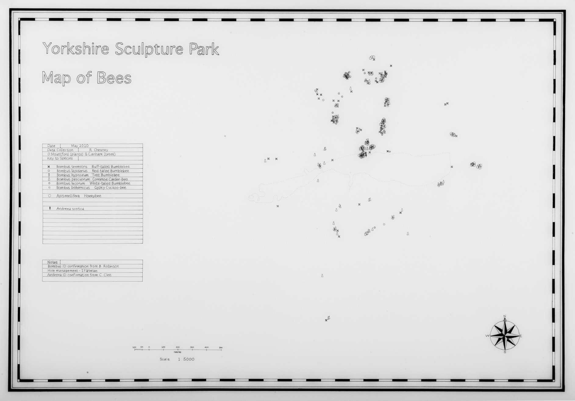 Rebecca Chesney Bee Map 03